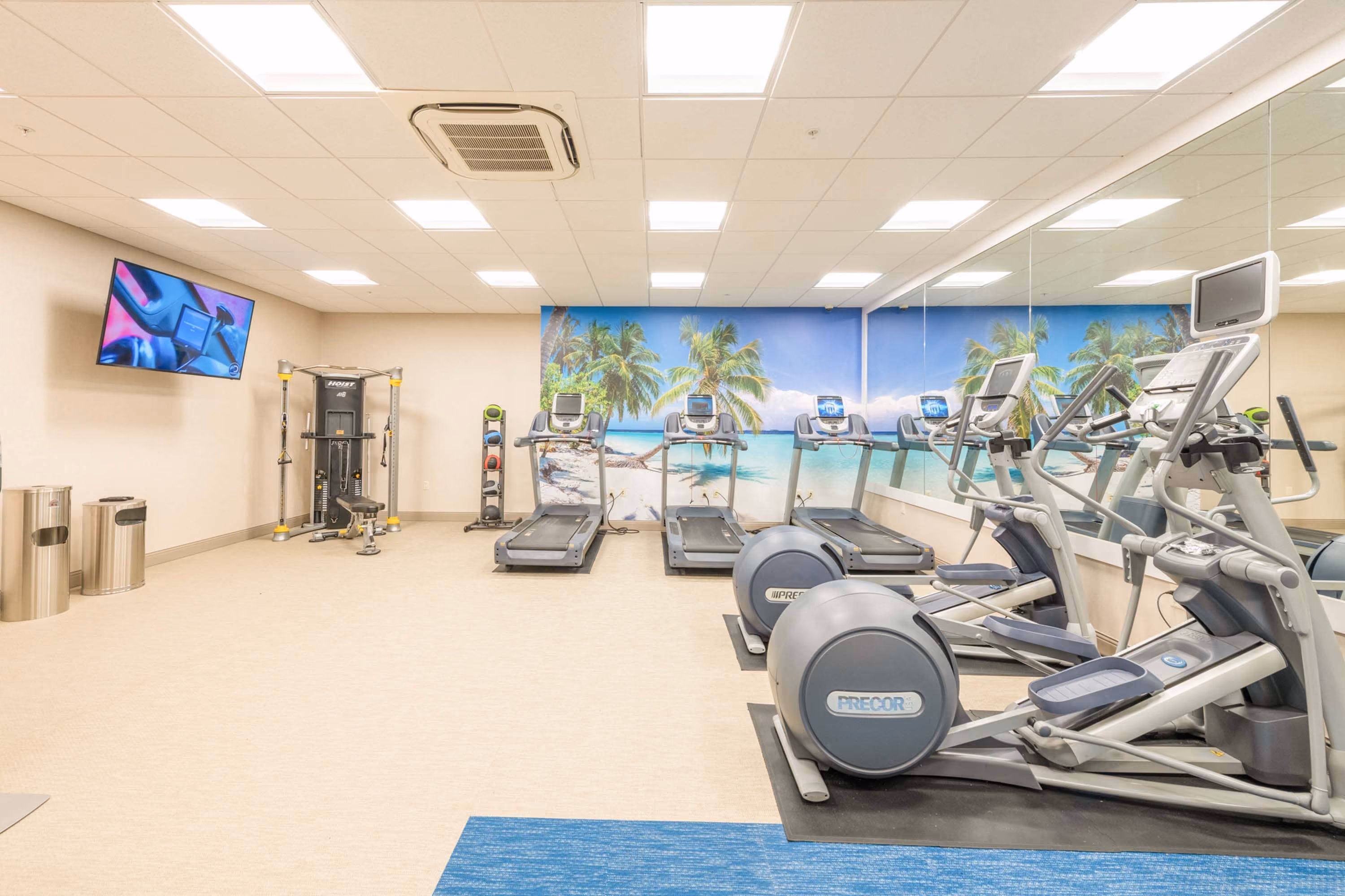 Modern hotel gym with treadmills, ellipticals, and a tropical mural, built by D&S Builders