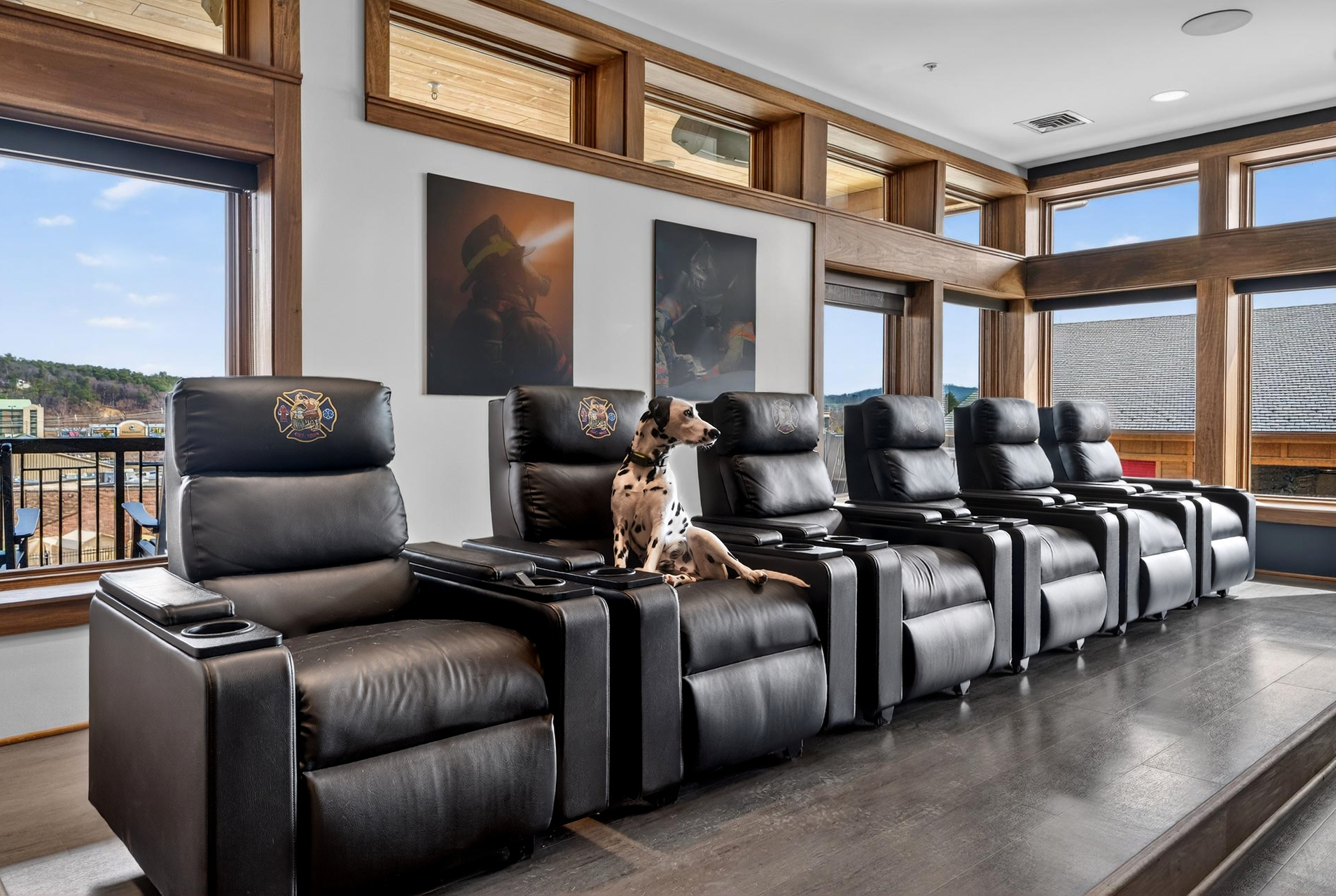 Dalmatian sitting on black recliner chairs in a bright hospitality lounge with large windows