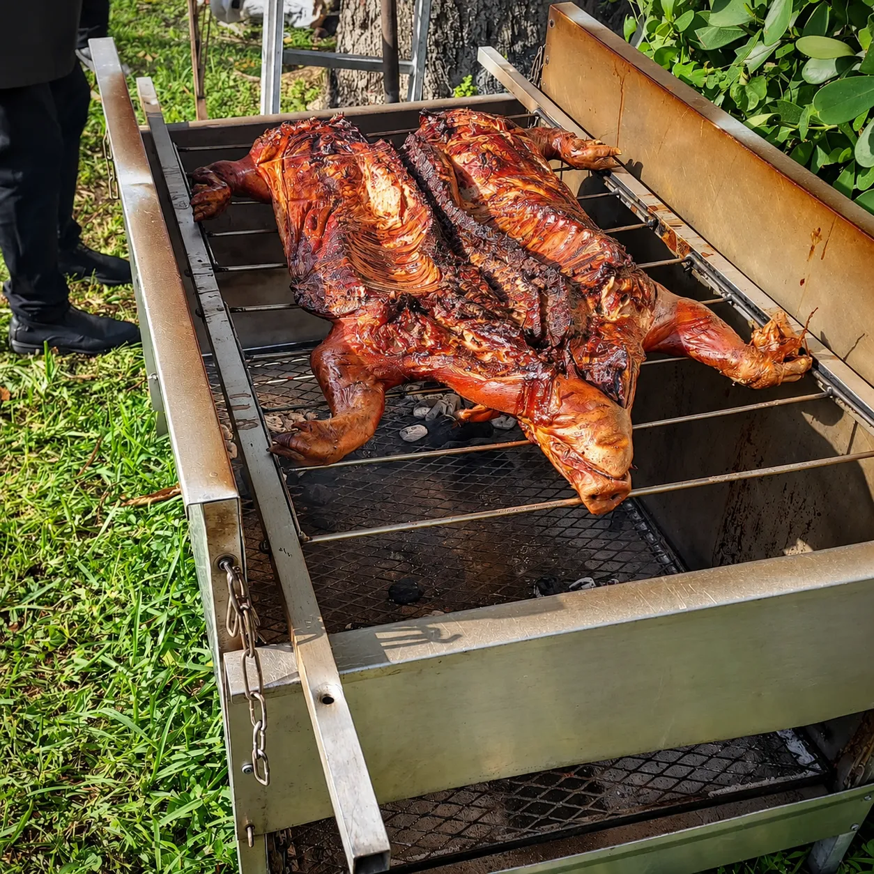Whole lechón roasting in an outdoor metal roasting box at a Don Paella catering event