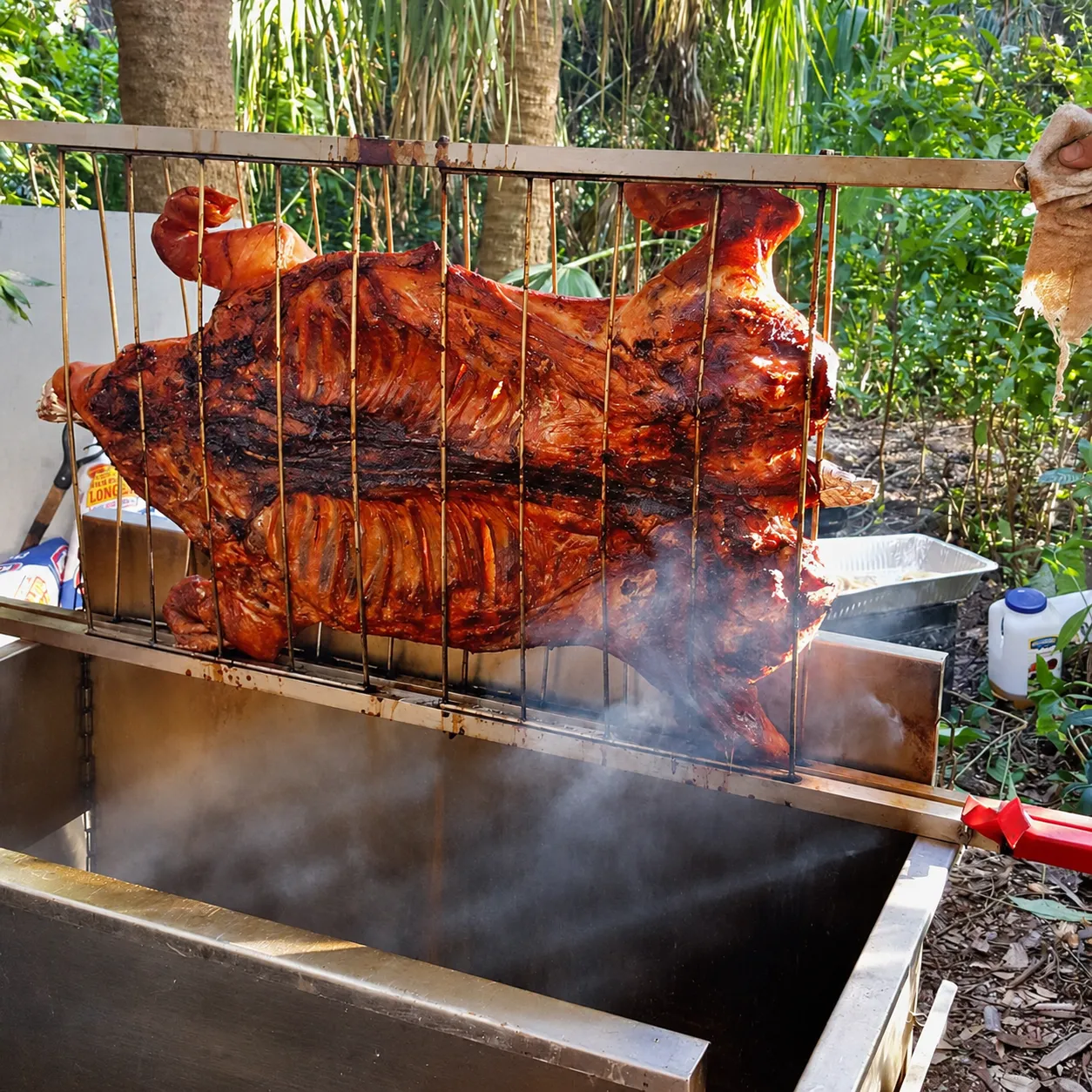 Whole roasted pork held in a metal rack above a roasting box with steam rising