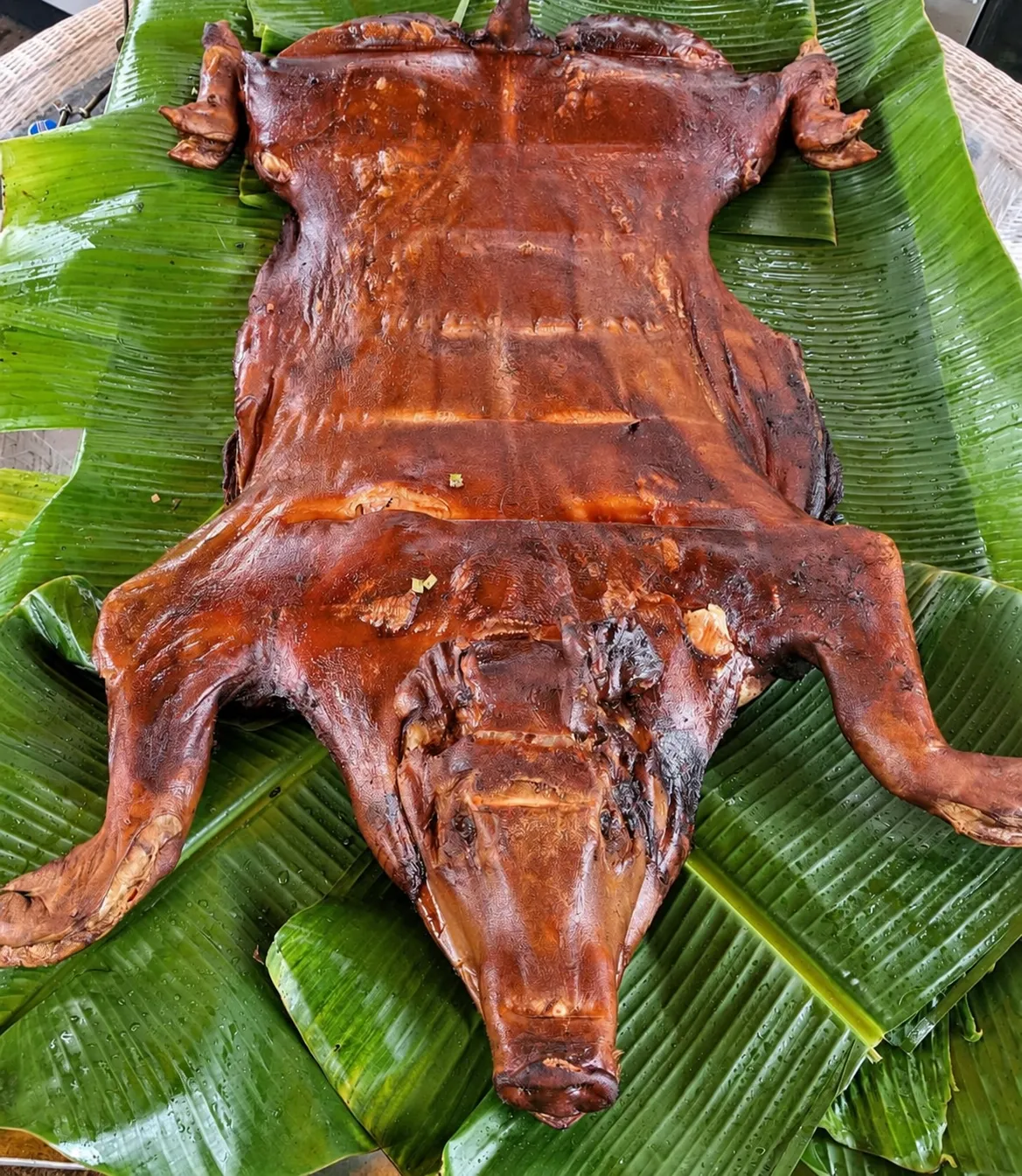 Whole lechón asado with mahogany skin presented on green banana leaves