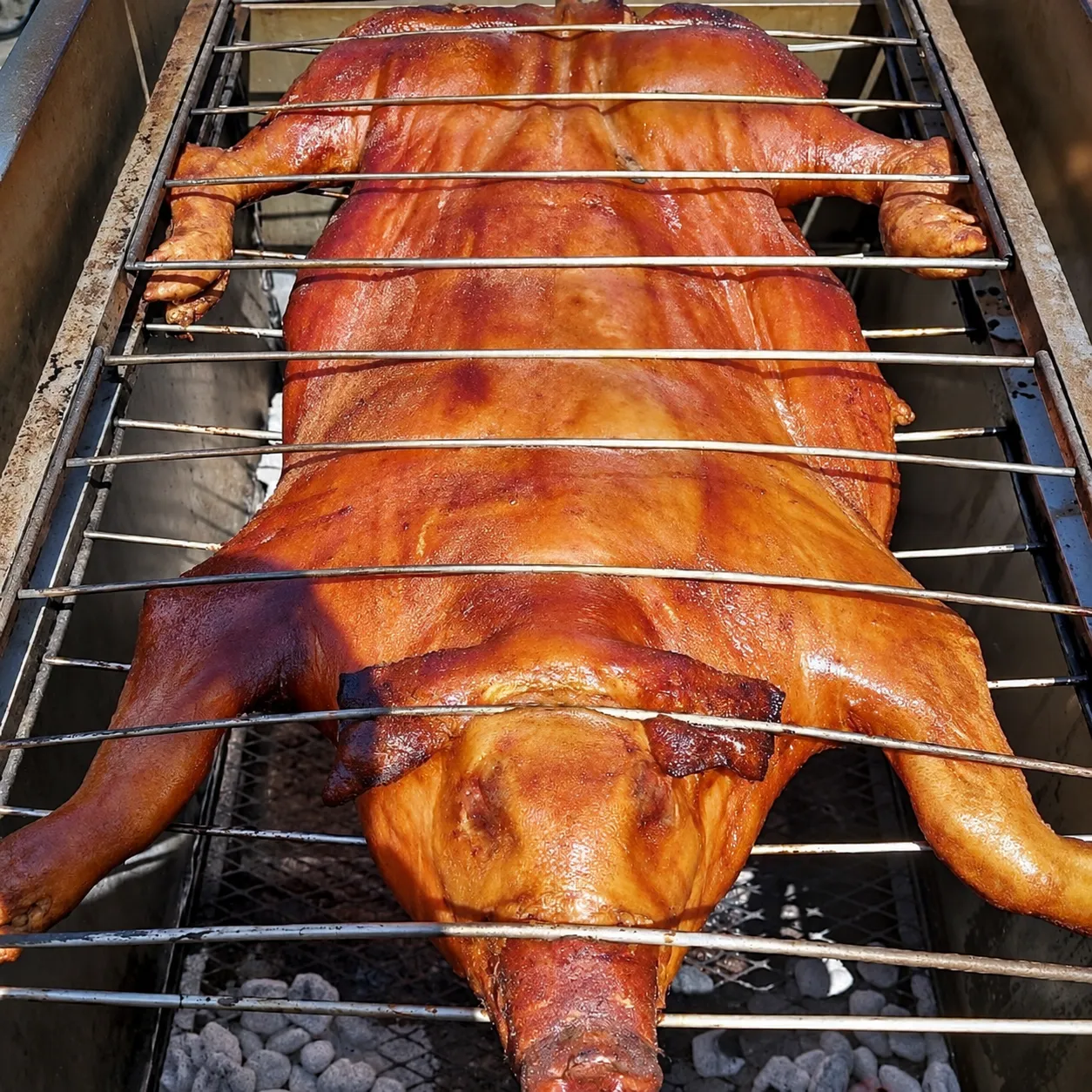 Golden skin on a whole lechón asado beneath a metal roasting rack