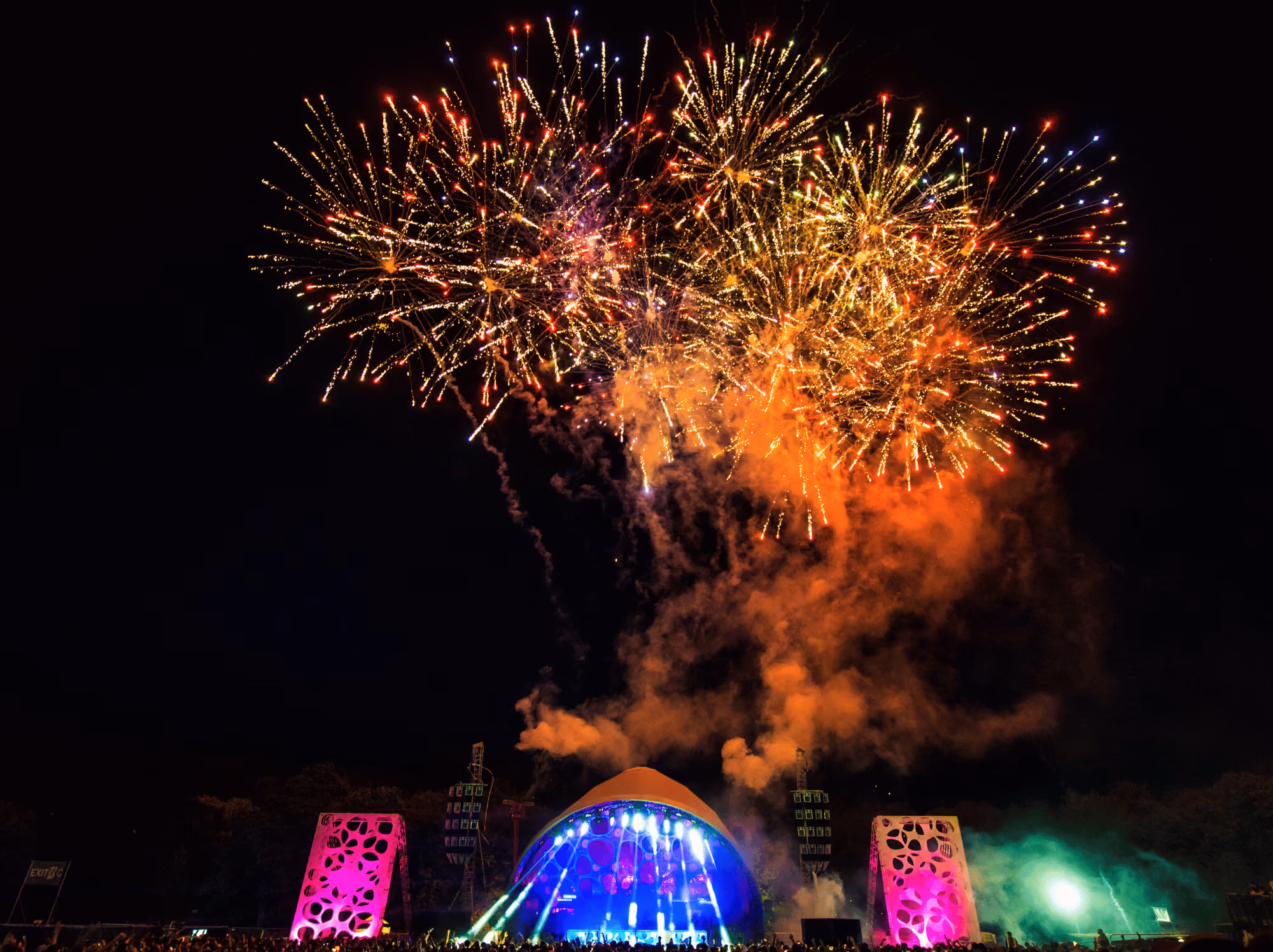 The Final Cocoon in the Park