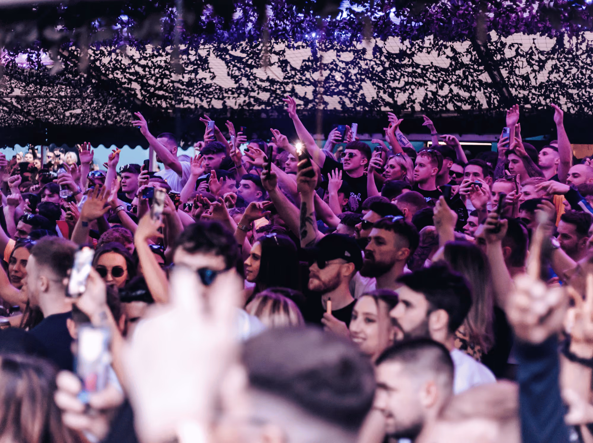 The Terrace Party