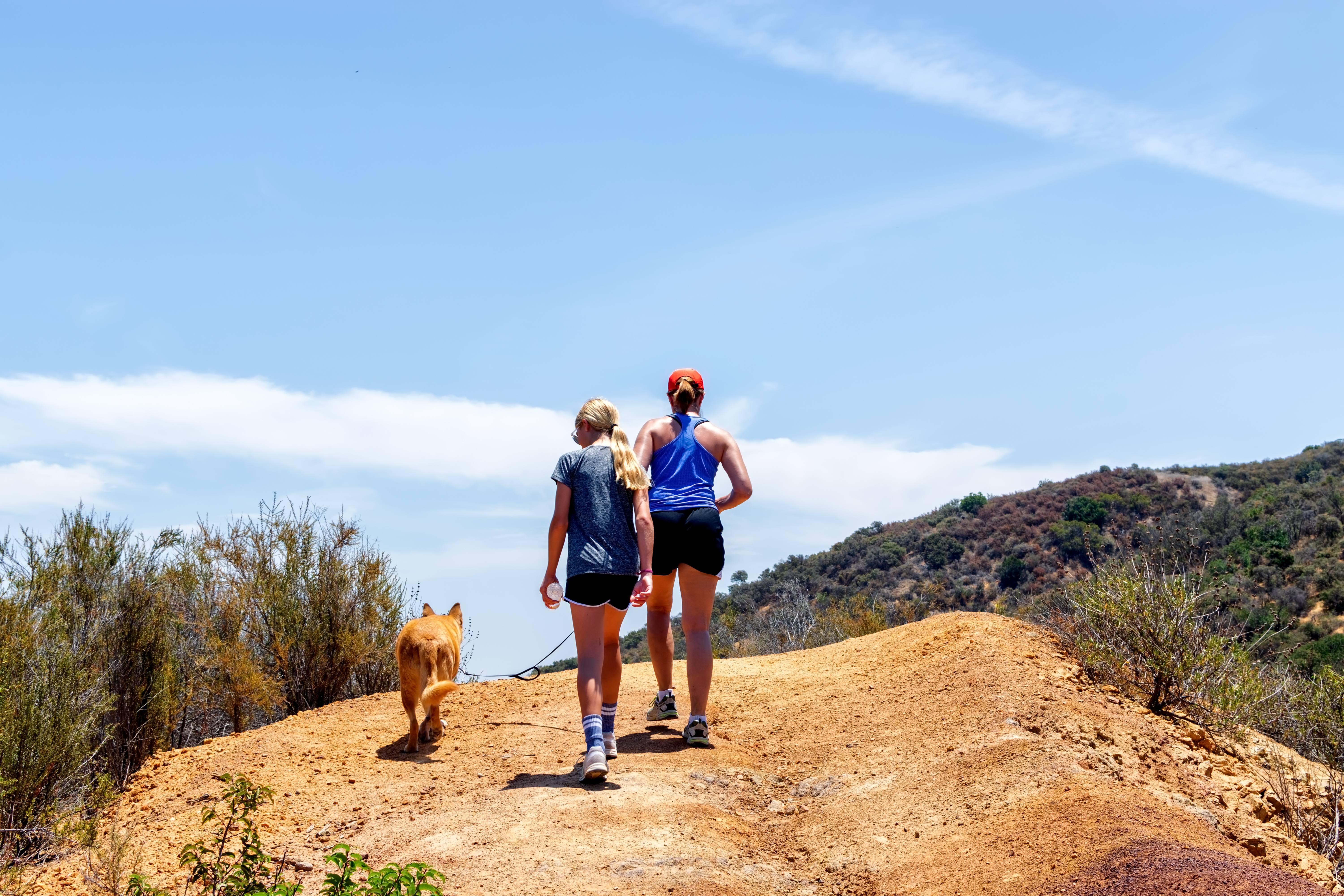Mother and Daughter and Dog Hiking Outdoors Stock Image