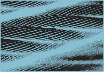 Conductor microstructure sample