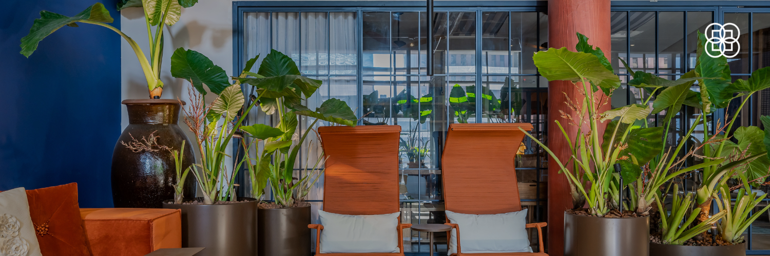 Tendências de decoração para outono 2024