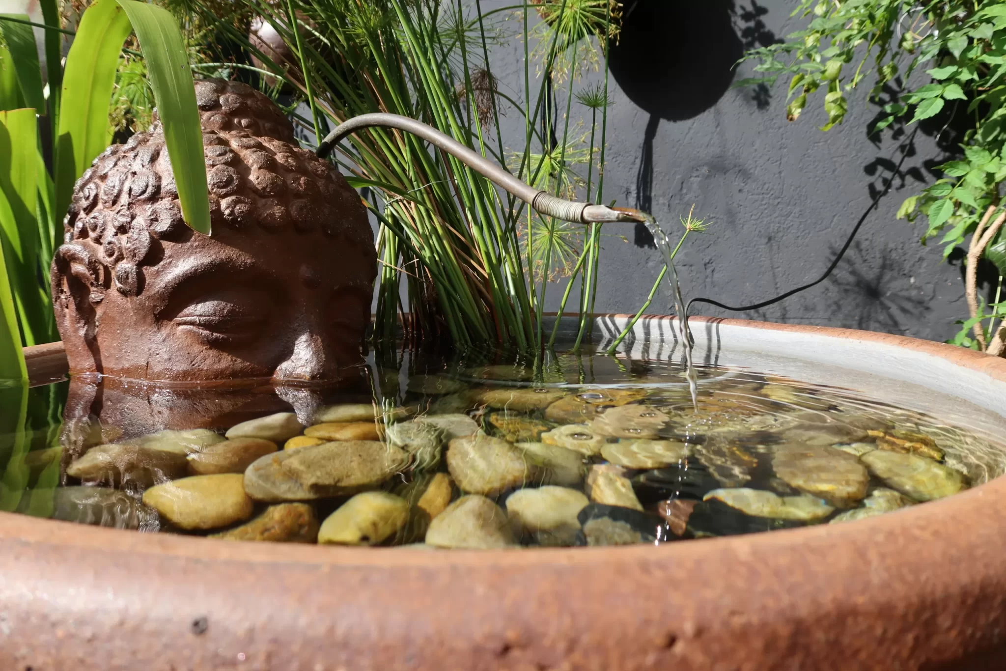 Manutenção e cuidados com fontes — foto 5