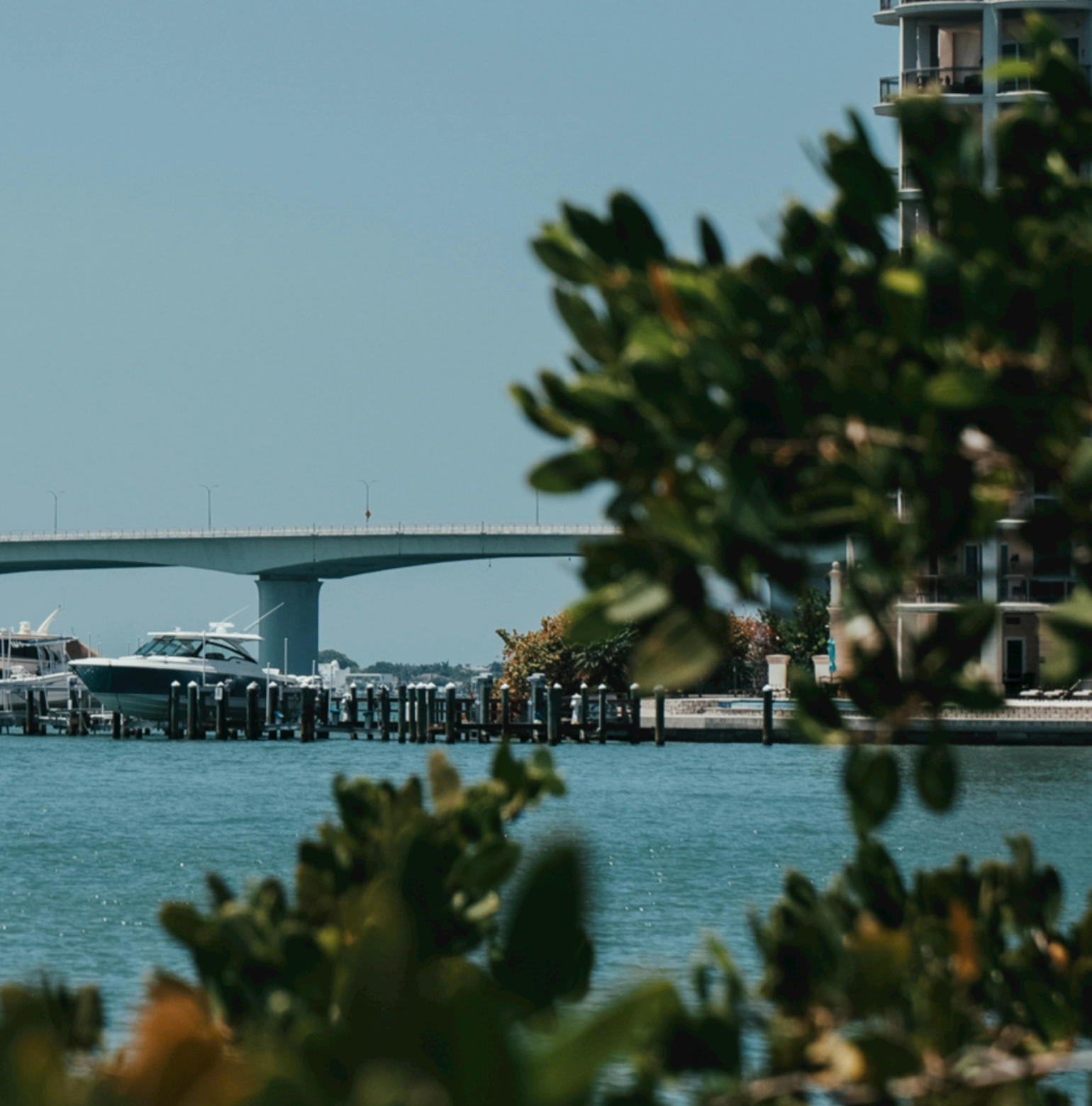 View of a marina with boats docked on calm blue water, a bridge in the background, and leafy green foliage framing the scene.
