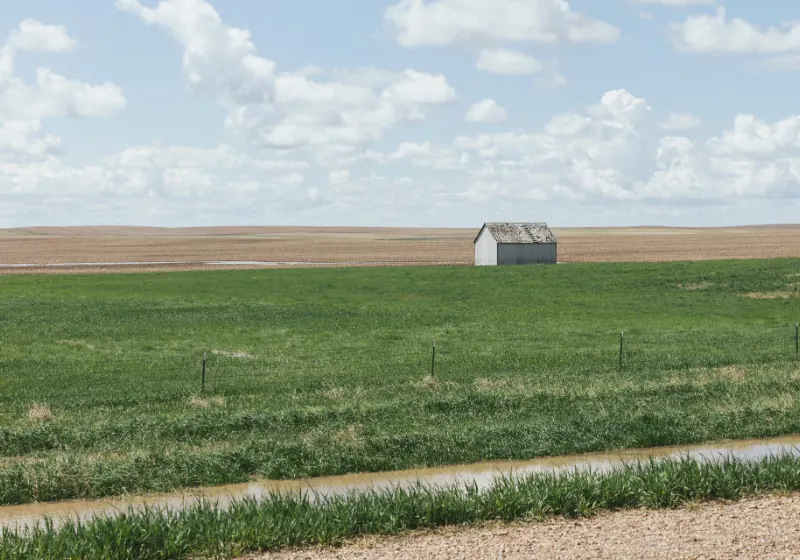 Harvard Media in Rural Saskatchewan
