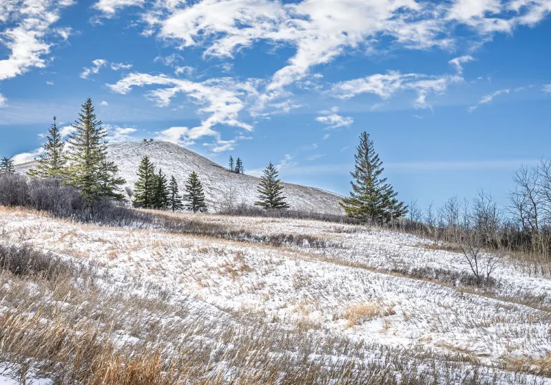 Harvard Media in Rural Saskatchewan
