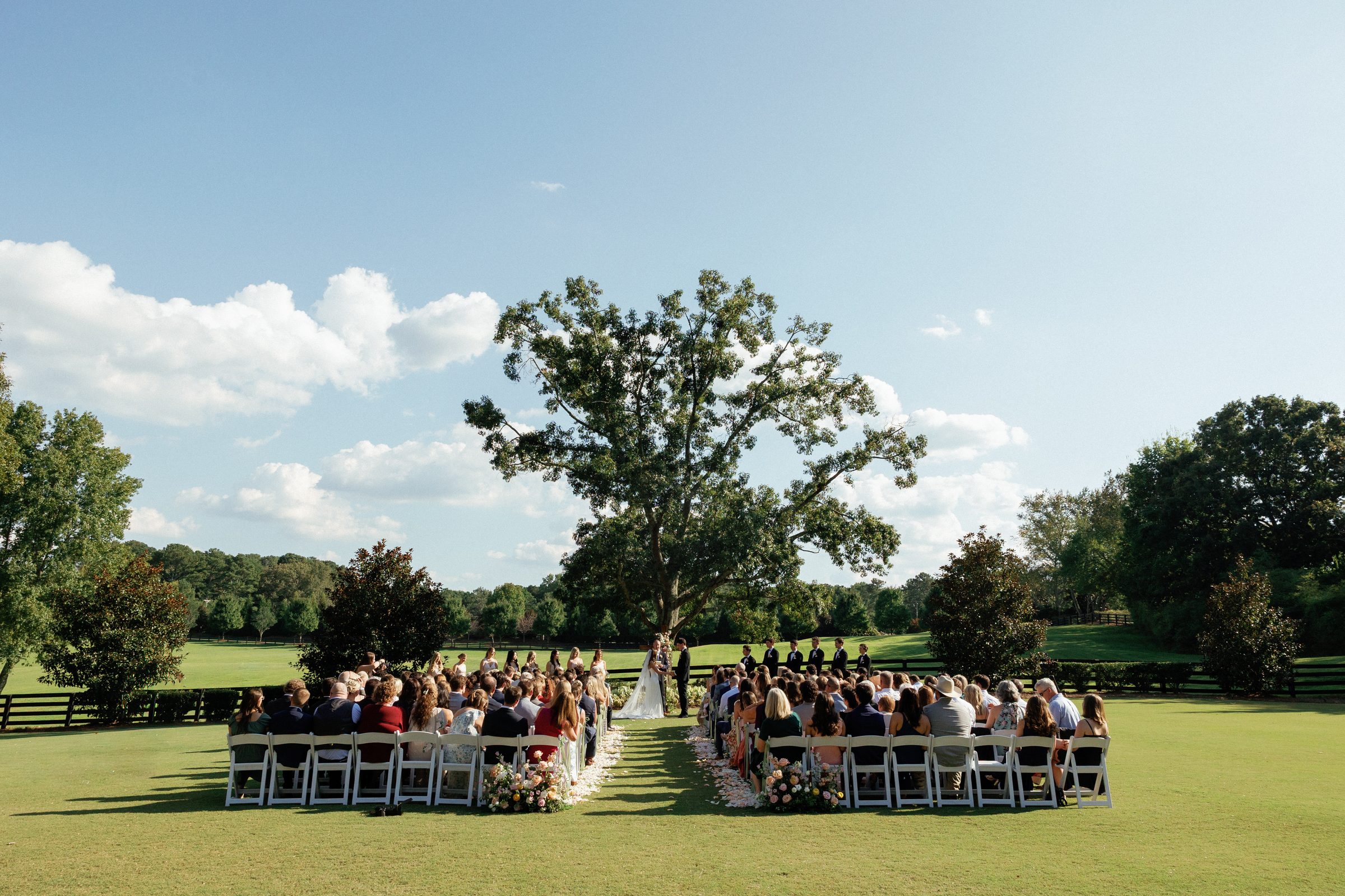Grace and Nolan's ceremony under the oak