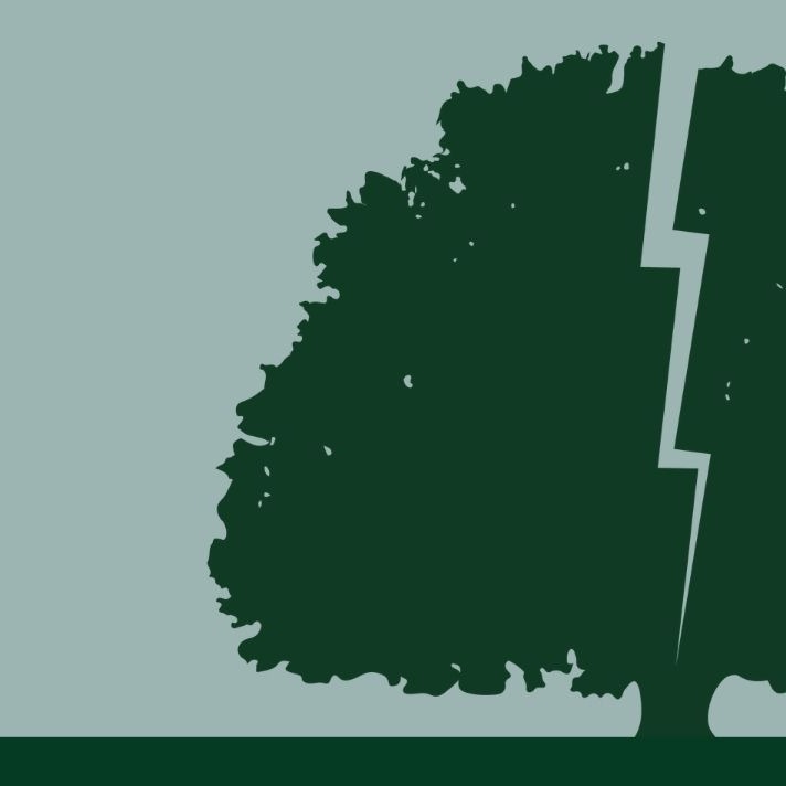 The Lightning Oak mark: an oak tree split by a bolt of lightning