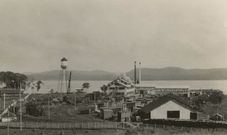 Fordlândia: Henry Ford's lost city in the Amazon from Nerdish App