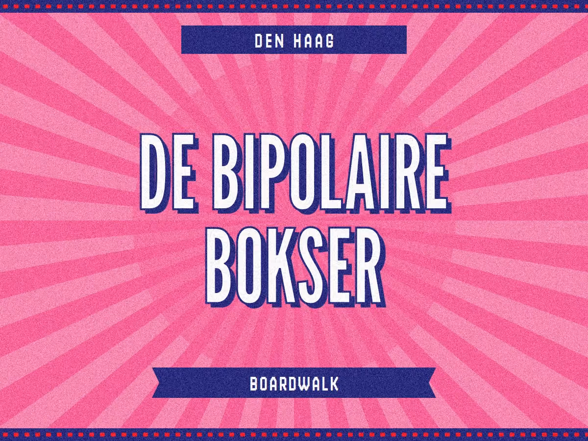 De Bipolaire Bokser