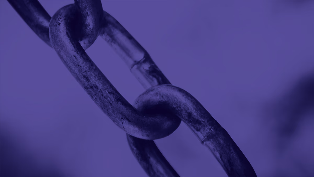 What Is An External Link? Best Practices & How To Use It