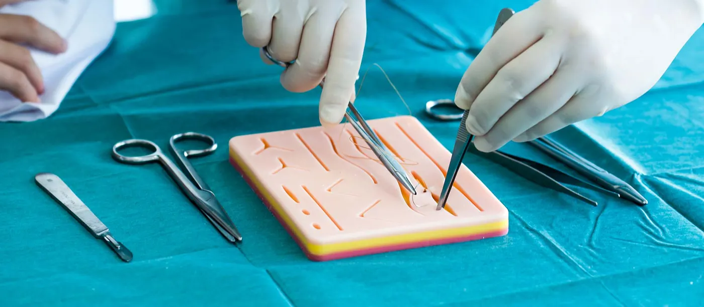 Veterinary clinicians examining a dog
