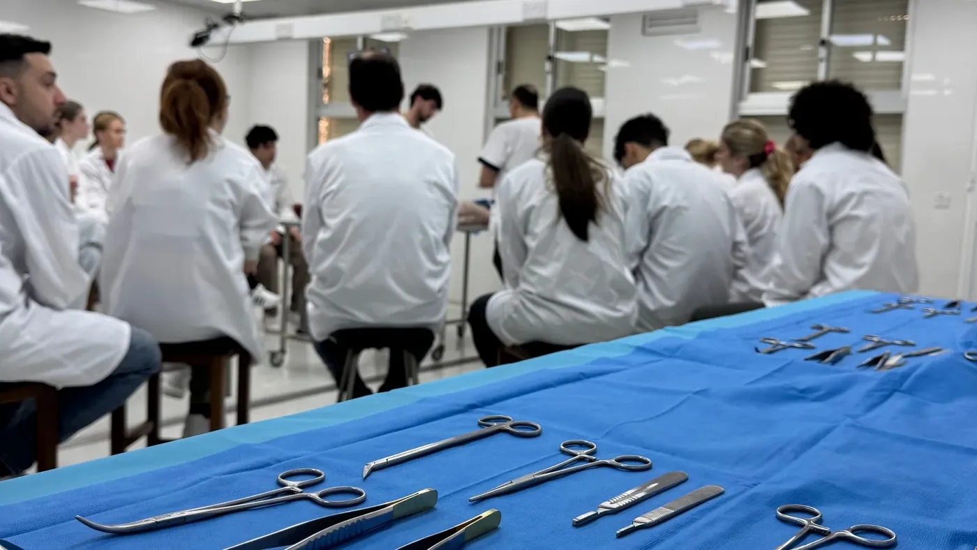 Veterinary clinicians examining a dog