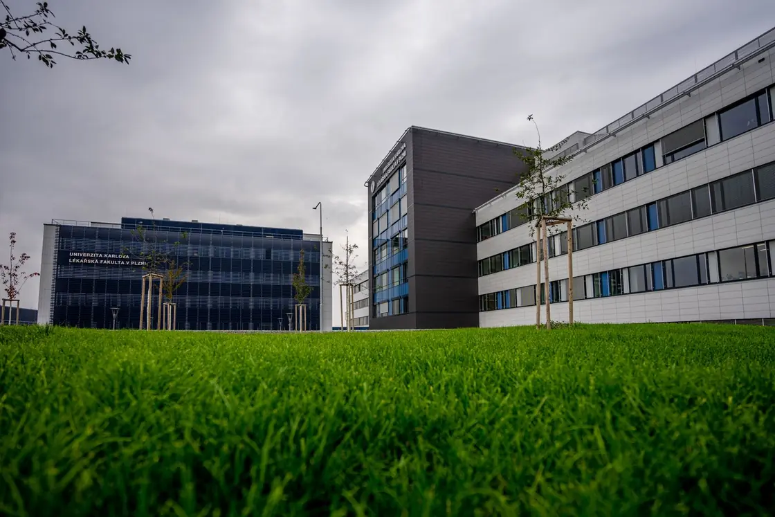 Charles University campus