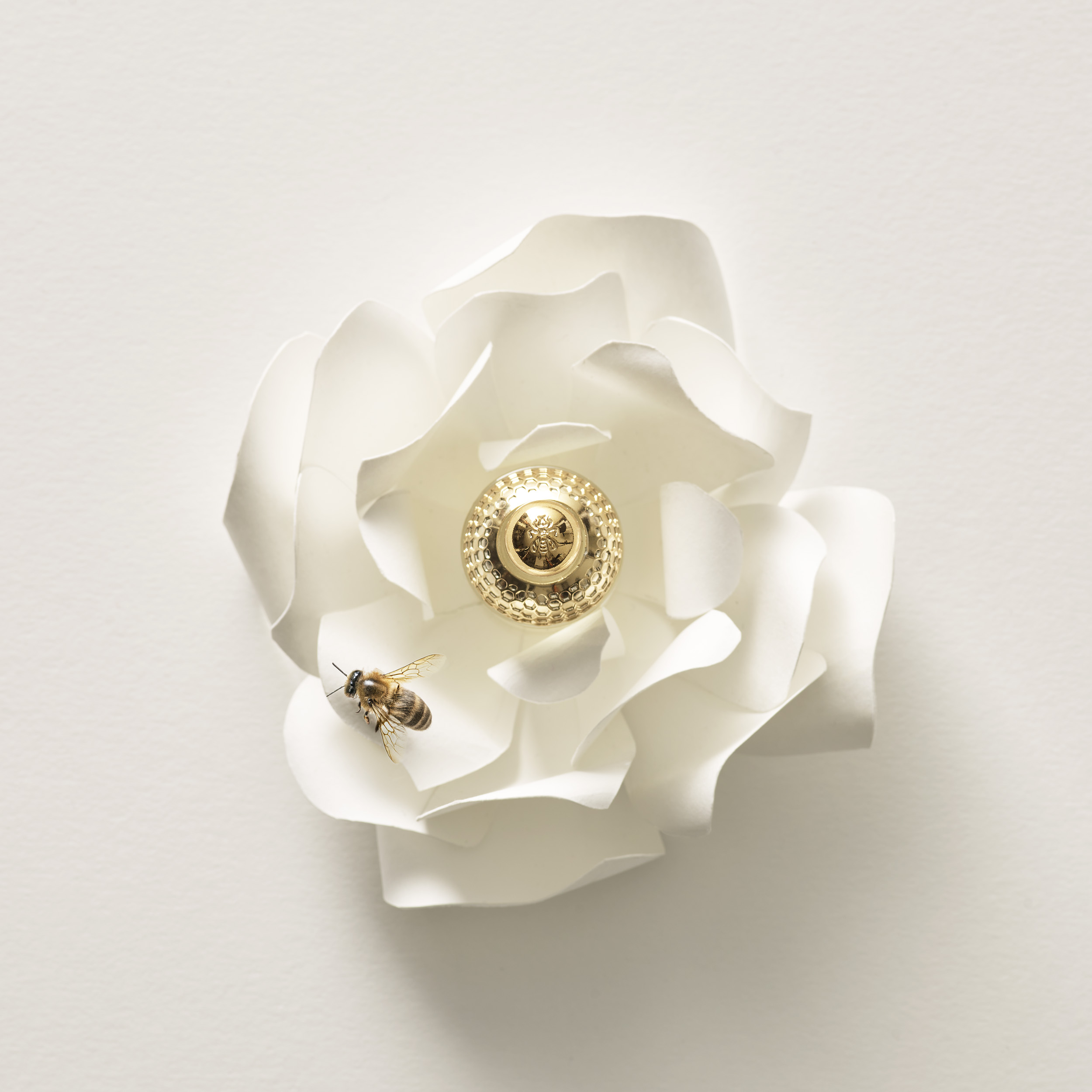 Fleur en papier blanc avec capuchon doré et abeille, généré par IA