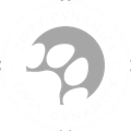 Zippy Dynamics