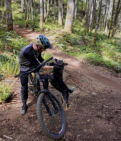 Mountain biker in a helmet on a forest trail with a black dog standing up against the bike