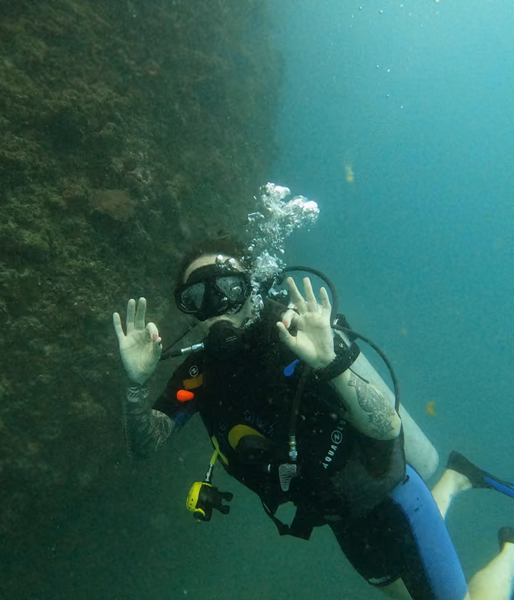 A person scuba dives