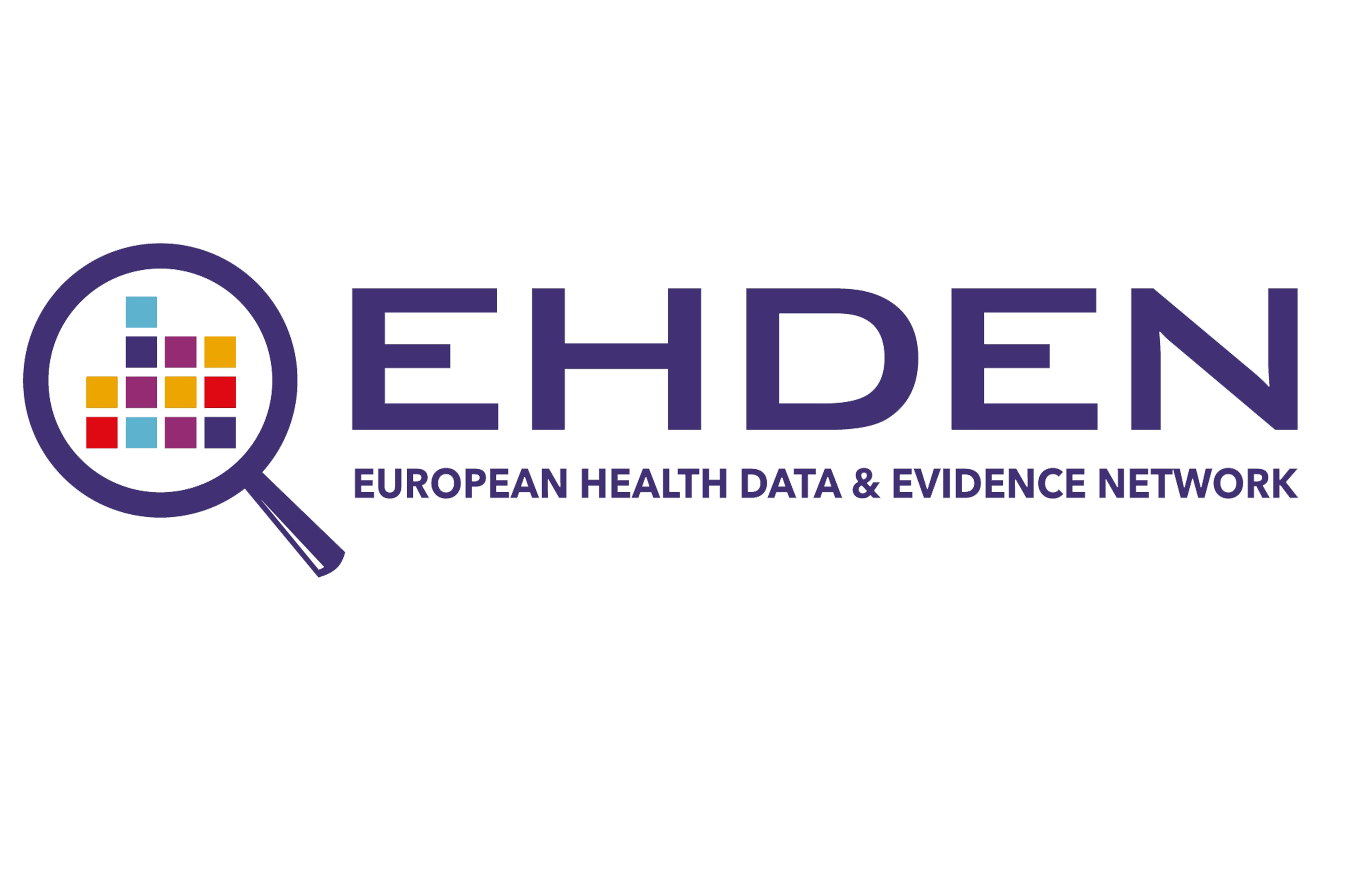 STICHTING EUROPEAN HEALTH DATA AND EVIDENCE NETWORK