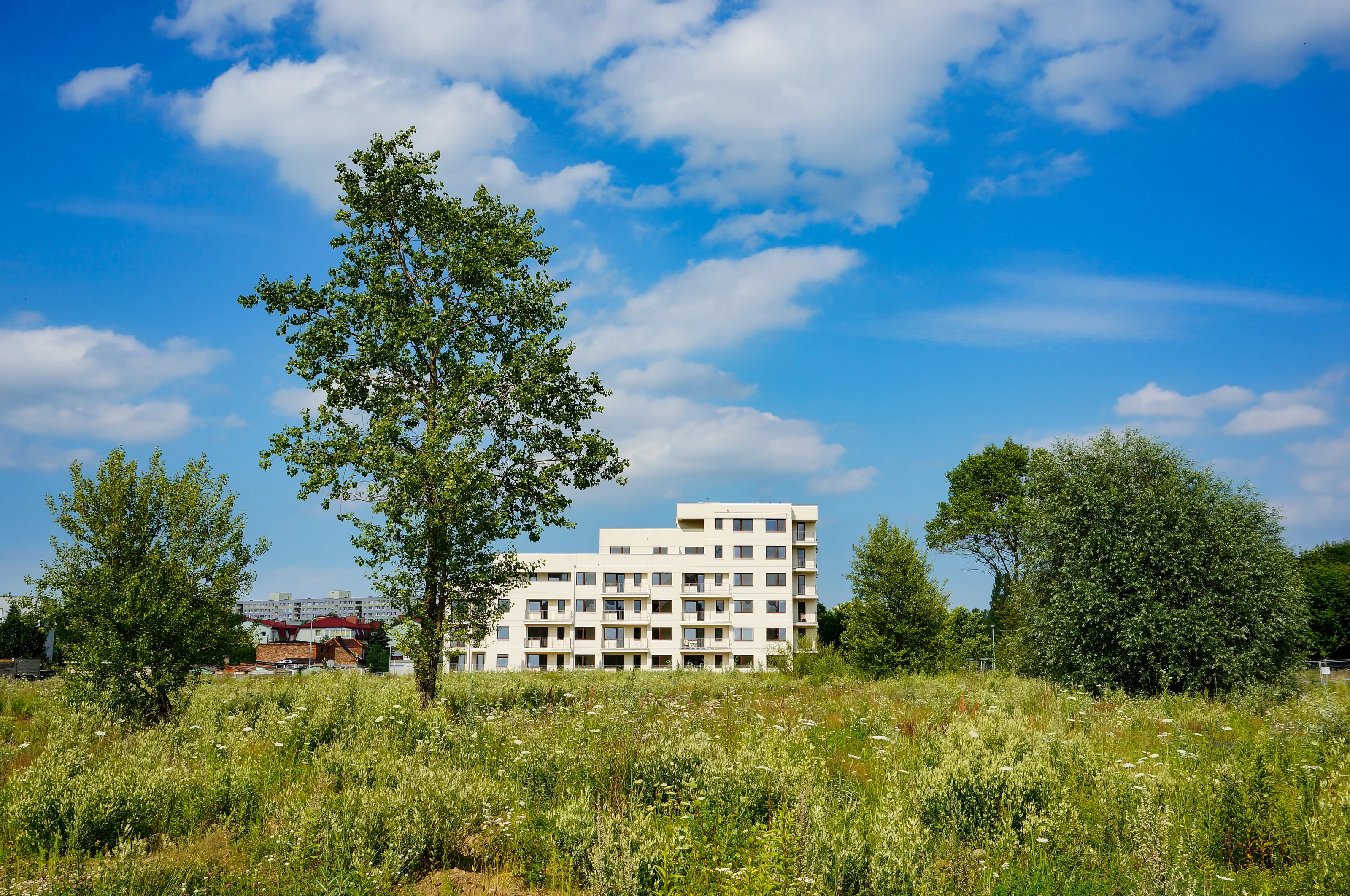 Immeuble contemporain derrière une prairie fleurie