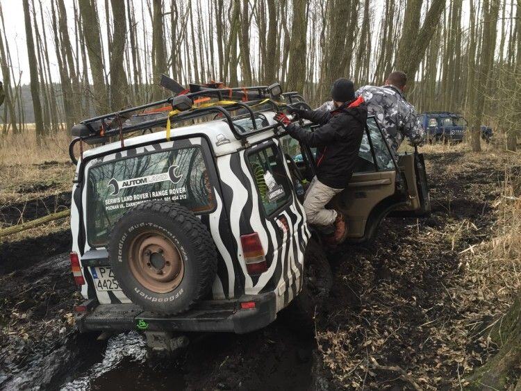 Zebra-striped Land Rover and a second 4x4 deep in mud in the forest, people climbing in through the doors