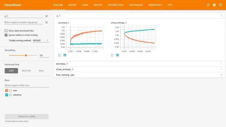 TensorBoard scalars for the noise model: training accuracy climbs towards 1 while validation stays near 0.2