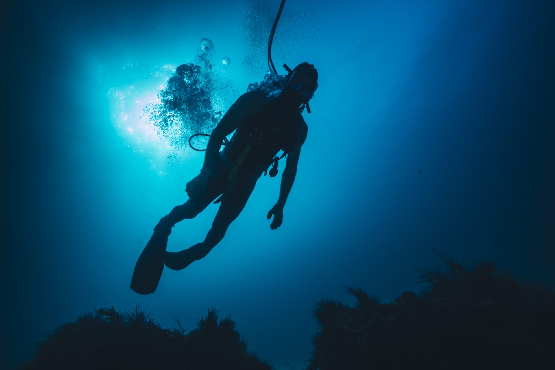 Diver underwater in the marine environment.