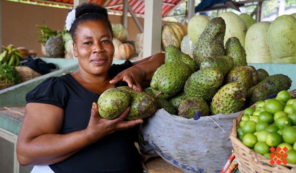 Haiti's financial inclusion journey