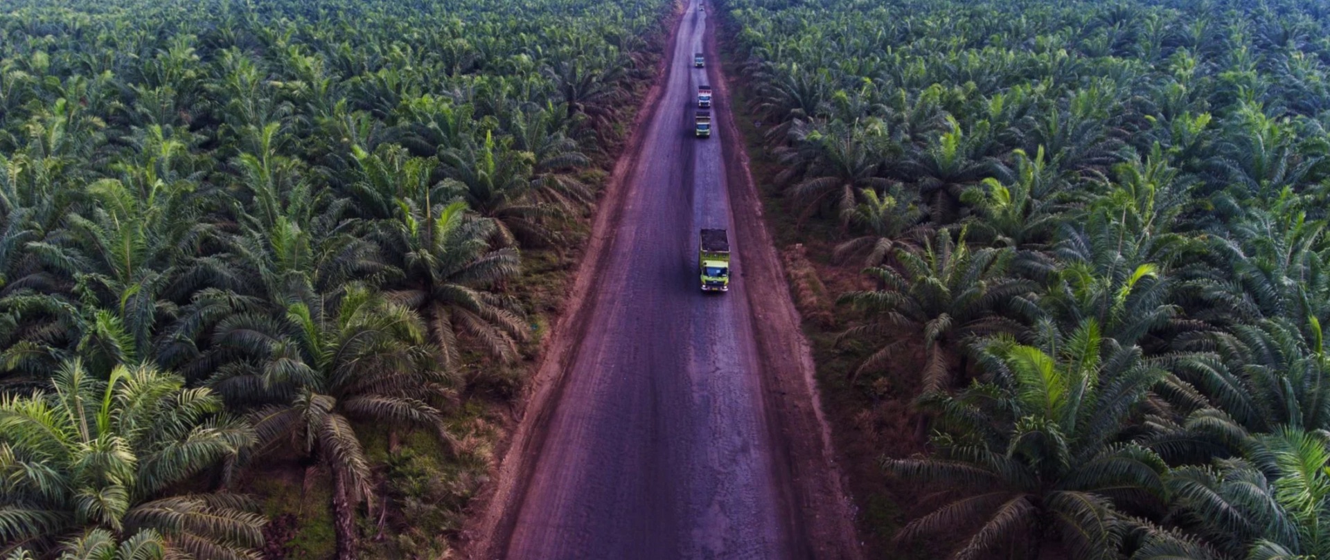 Your Palm Oil Supplier was just Replaced by a General