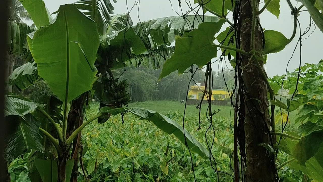 Forced Labor in Ecuador