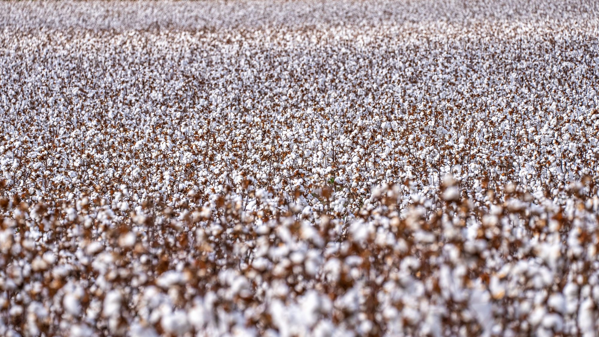 Forced Labor Beyond Xinjiang