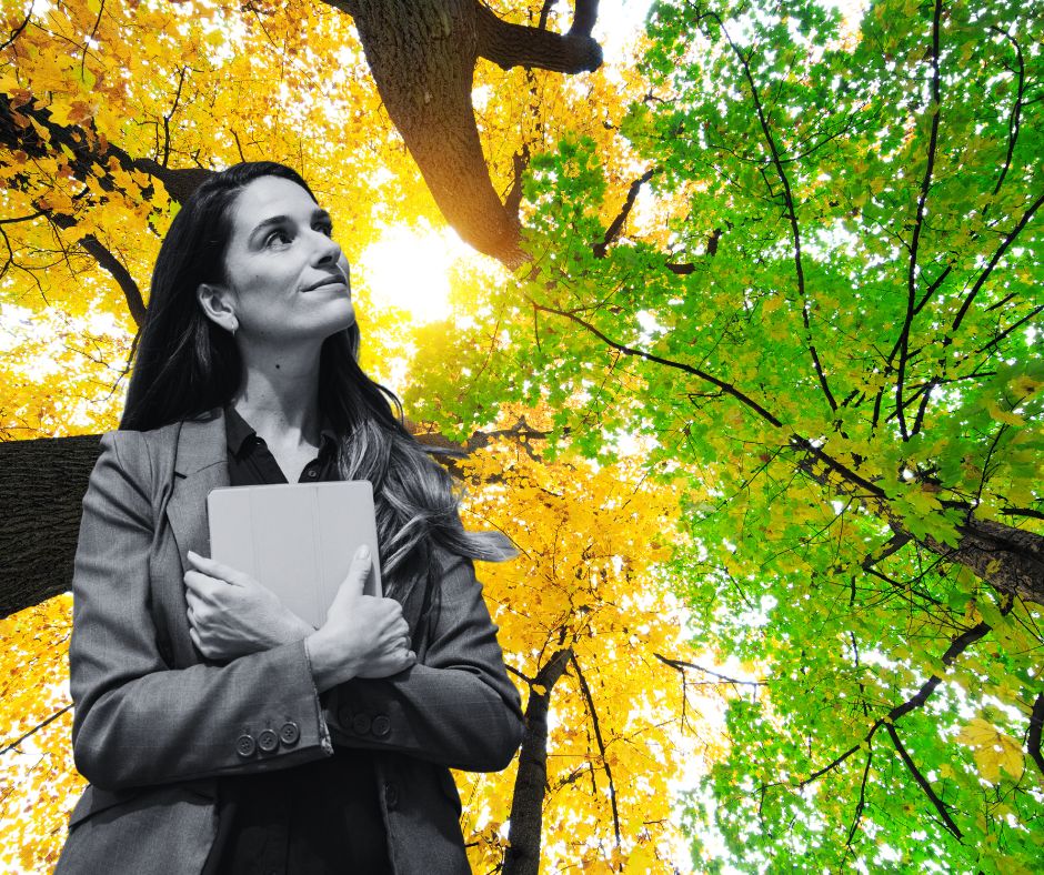 Woman holding a book looking up at the light between trees.
