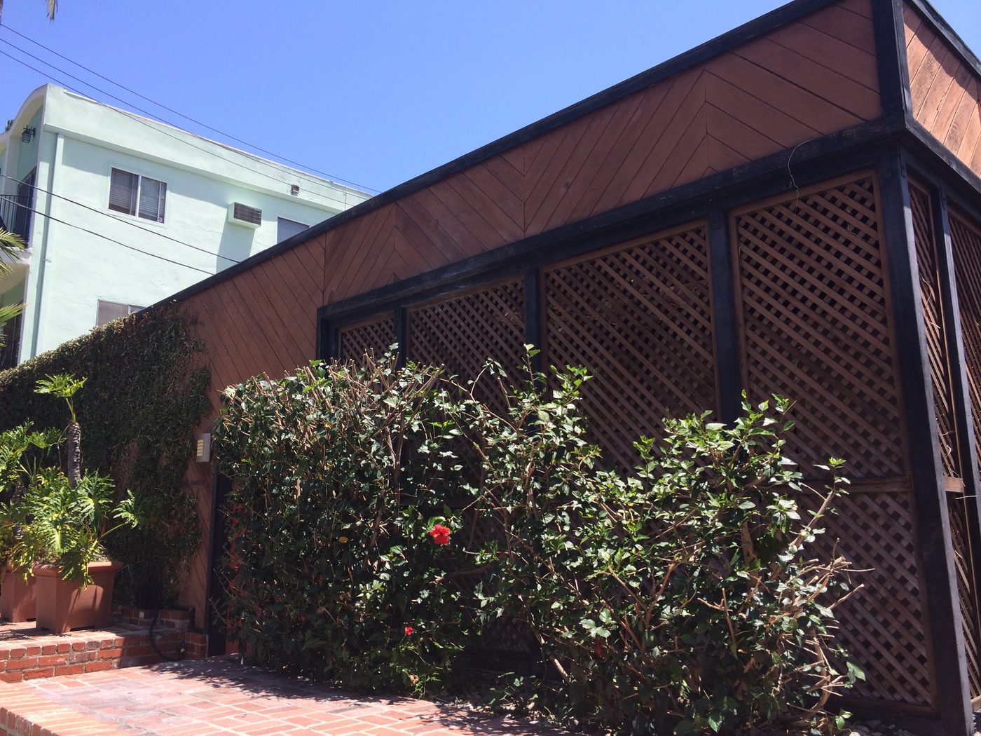 Street side of a West Hollywood home before: overgrown hedges along the lattice wall