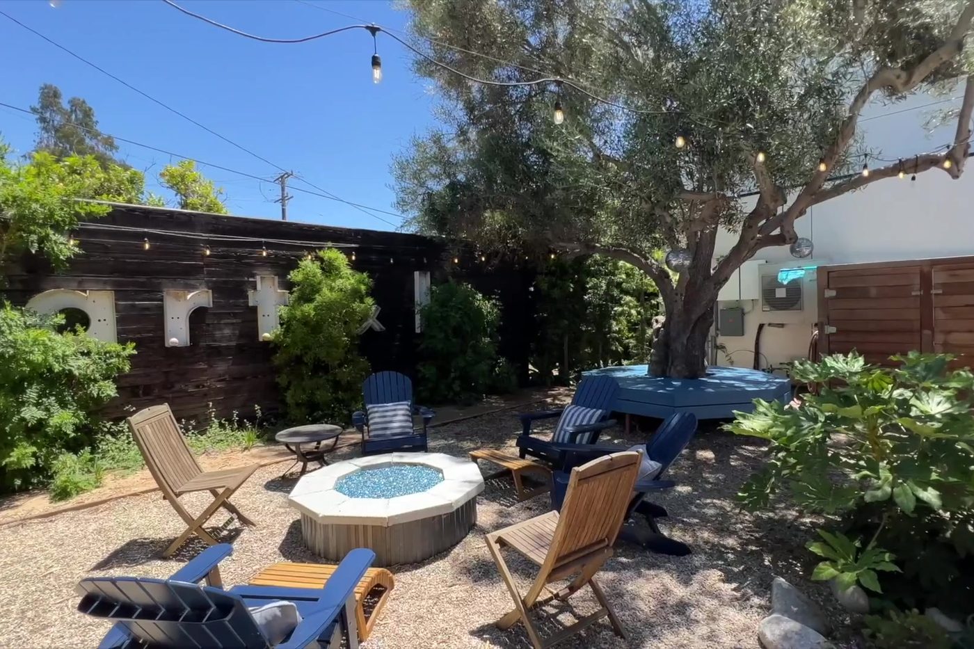 The Modern Monica backyard: a fire pit and chairs under an old olive tree.