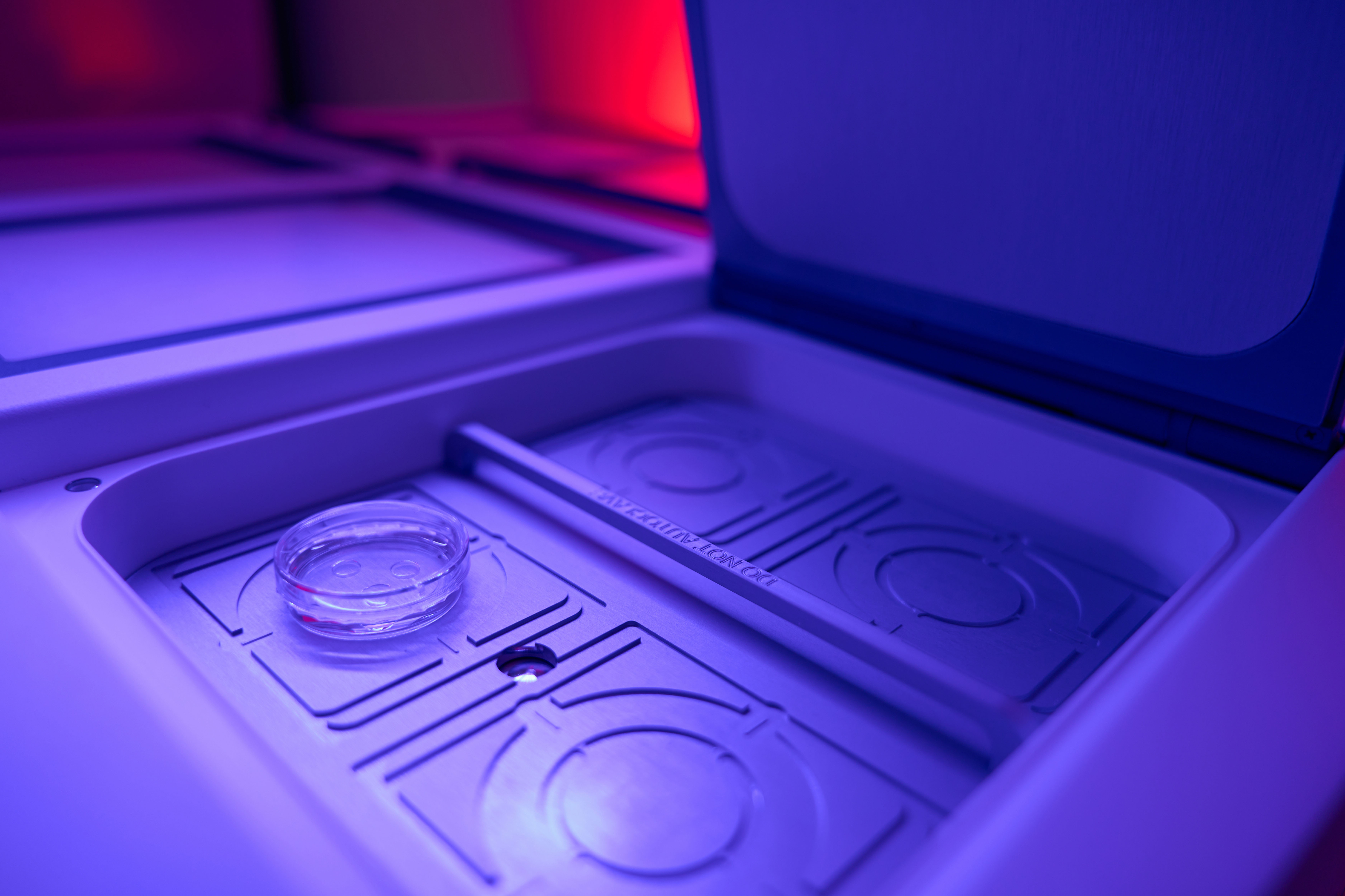 Egg cryopreservation in a fertility laboratory