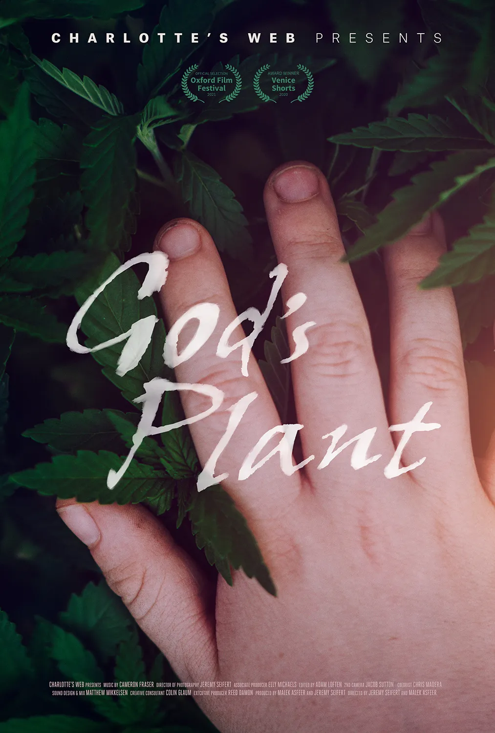 God's Plant film poster