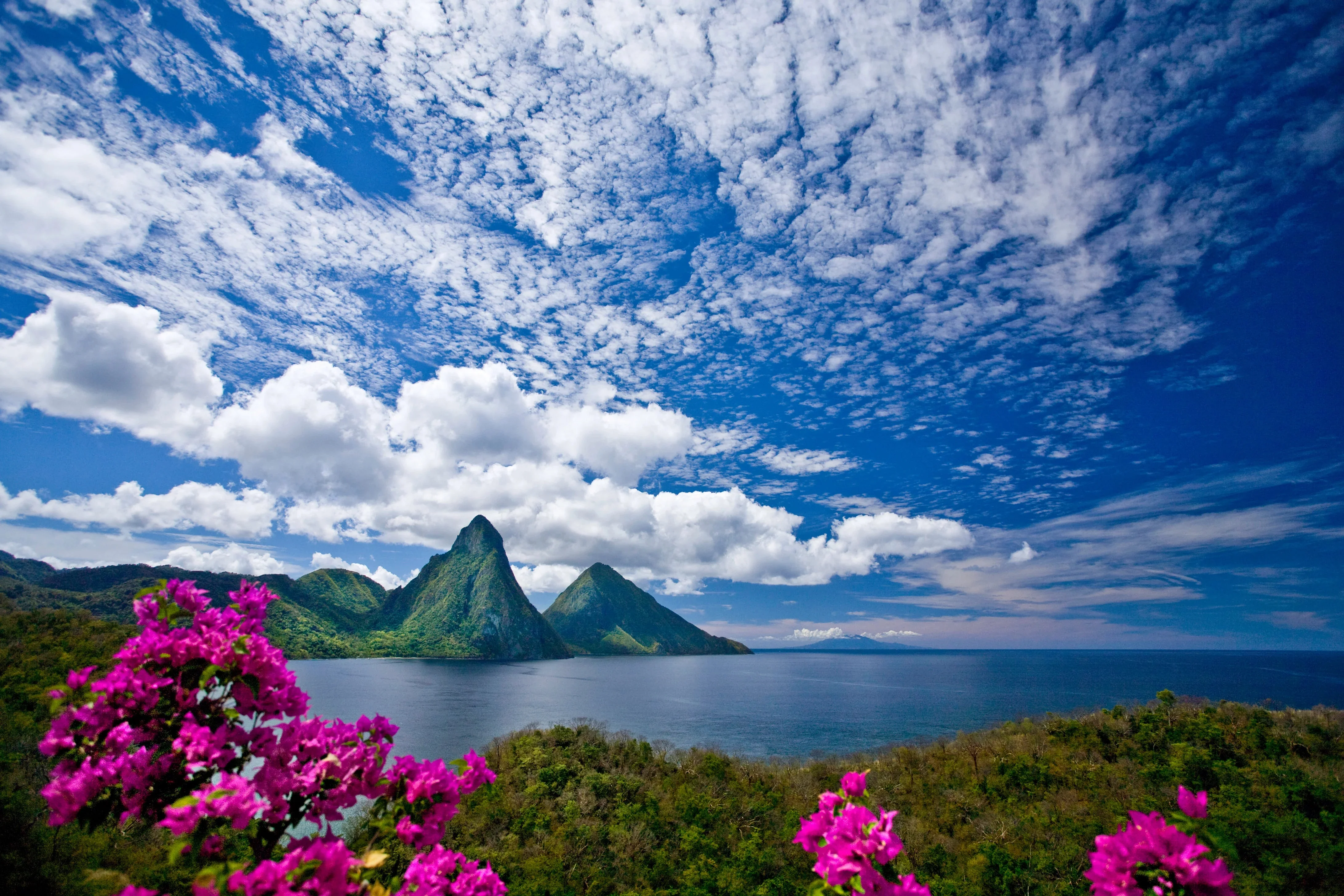Bougainvillea framing the Pitons in St. Lucia