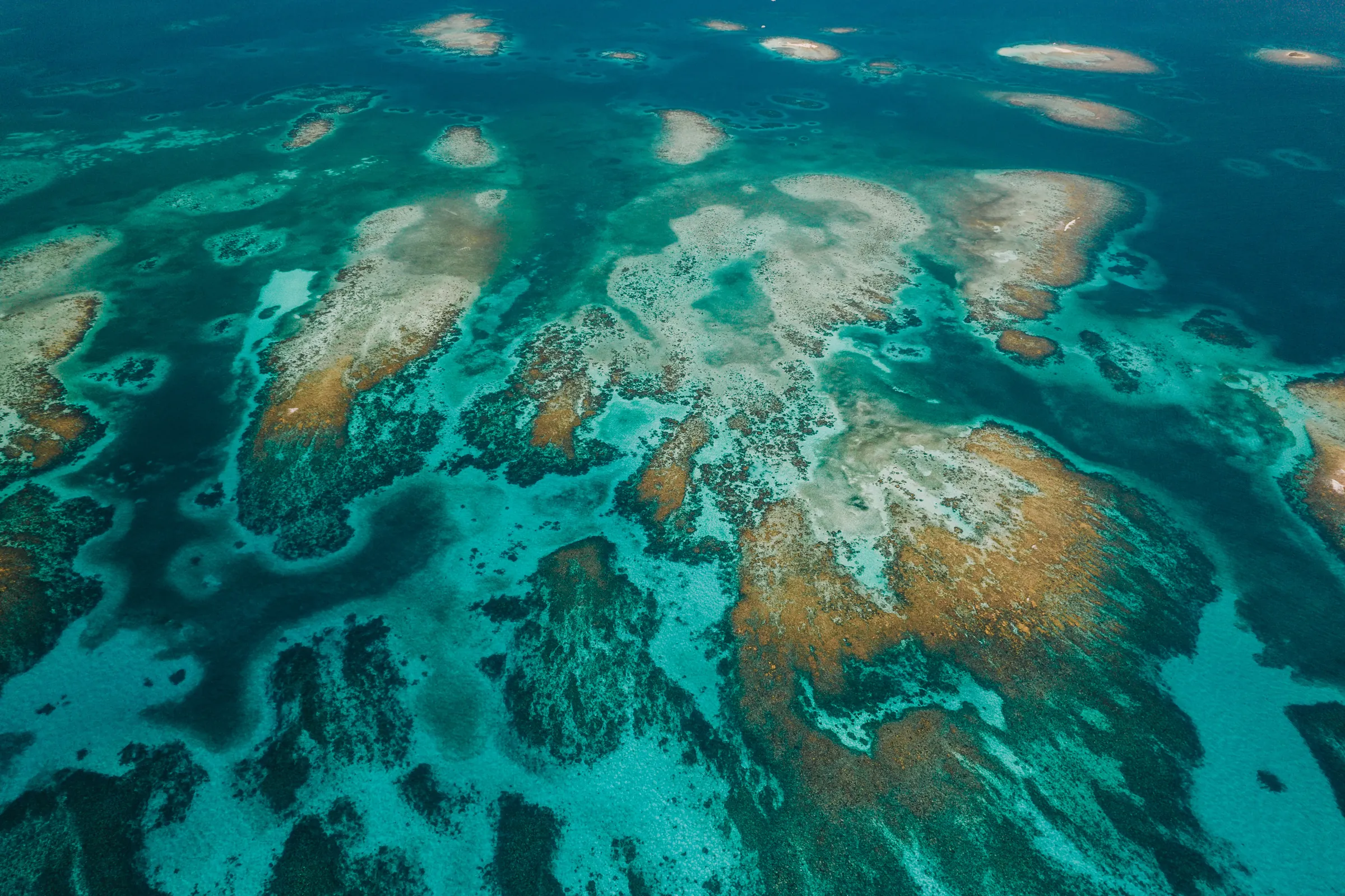 Shallow coral patch reefs seen from above