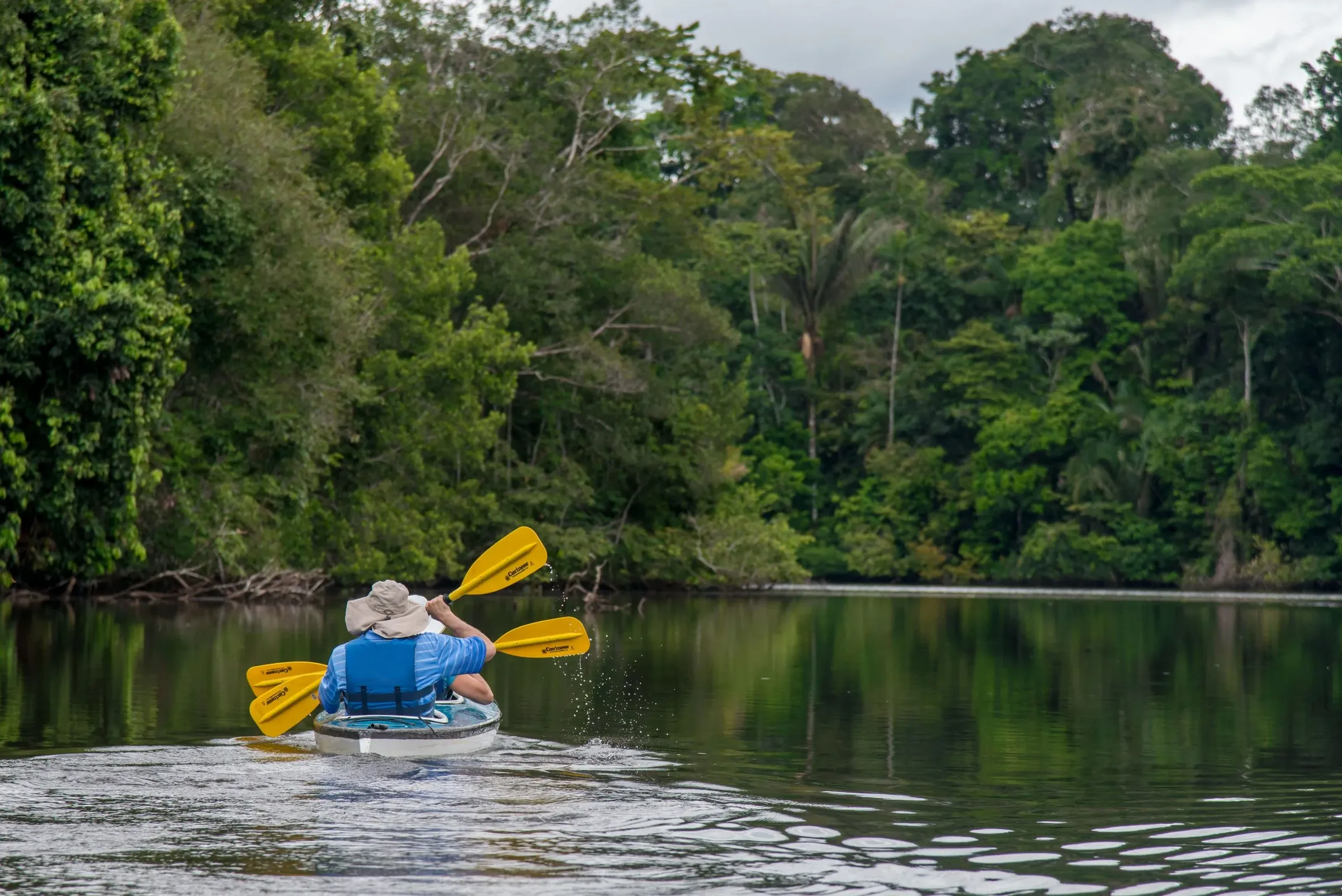 Kayaking through Ecuador's Amazon rainforest