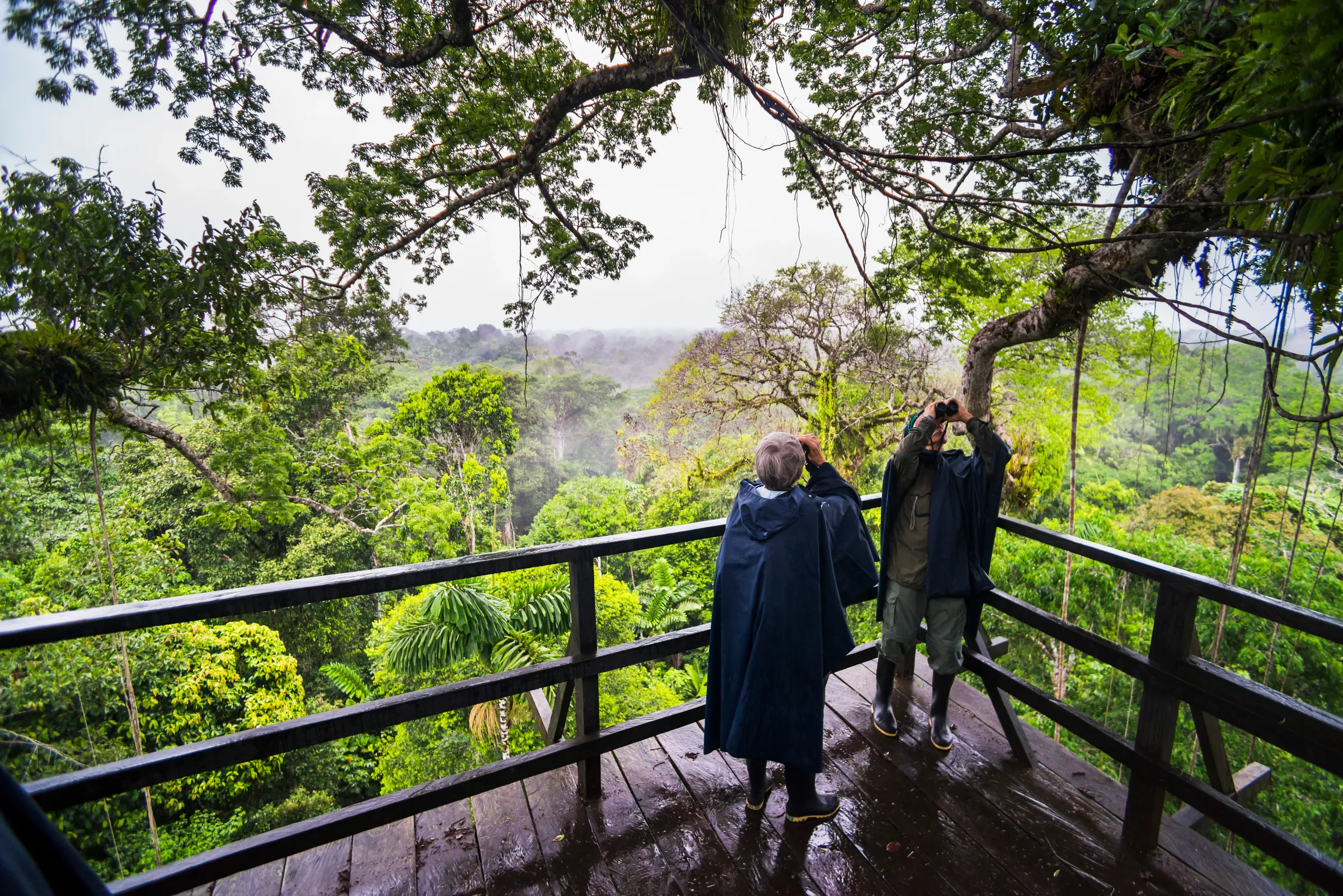 Travelers watching birds from a forest viewing platform in Ecuador.
