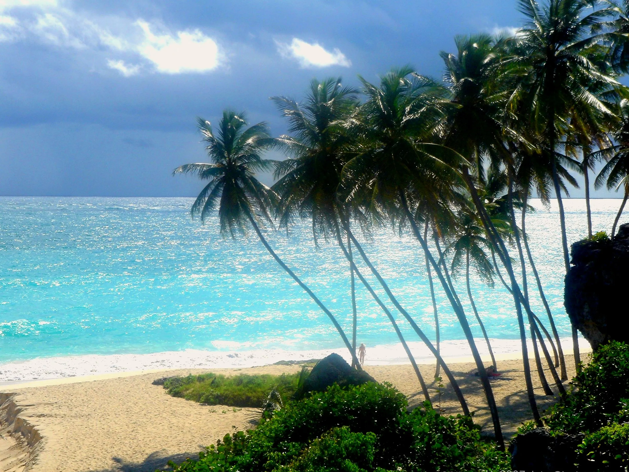 Palm trees and turquoise sea at Bottom Bay, Barbados
