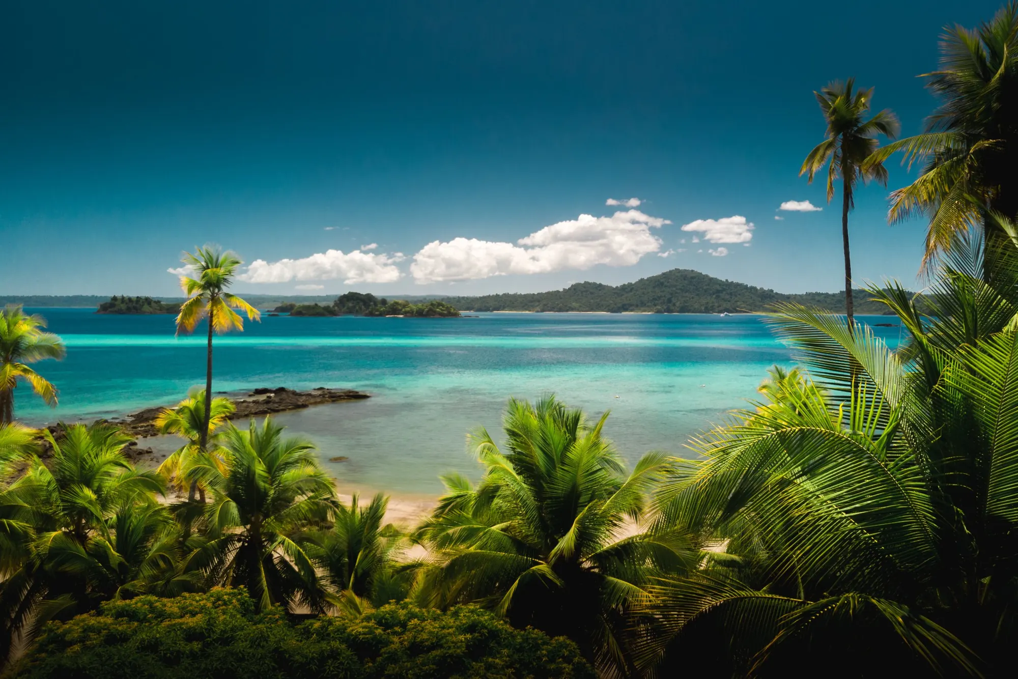 Palm-fringed beach overlooking the islands of Panama