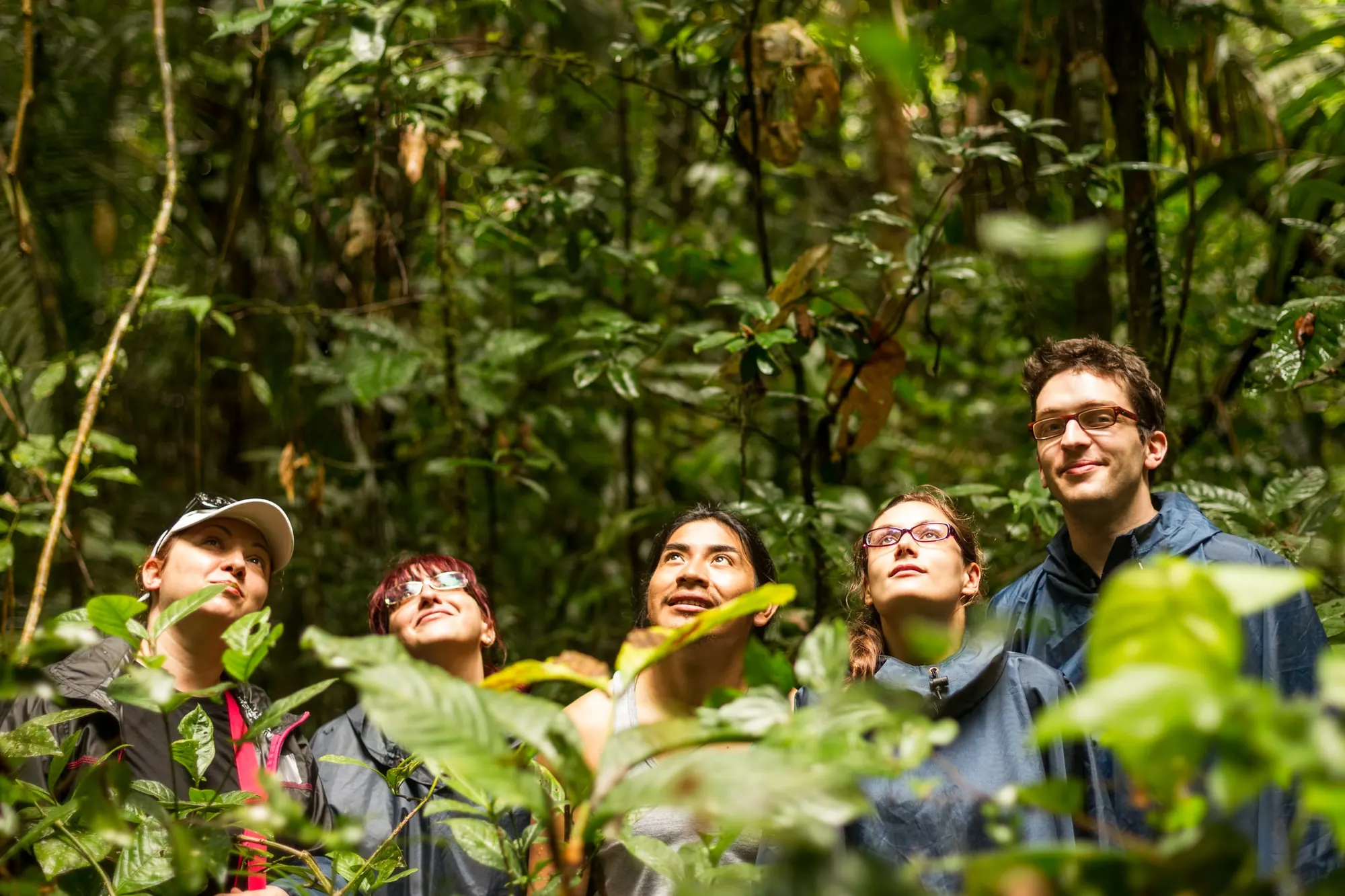 Travelers looking into the canopy during a guided walk in Ecuador’s Amazon rainforest.
