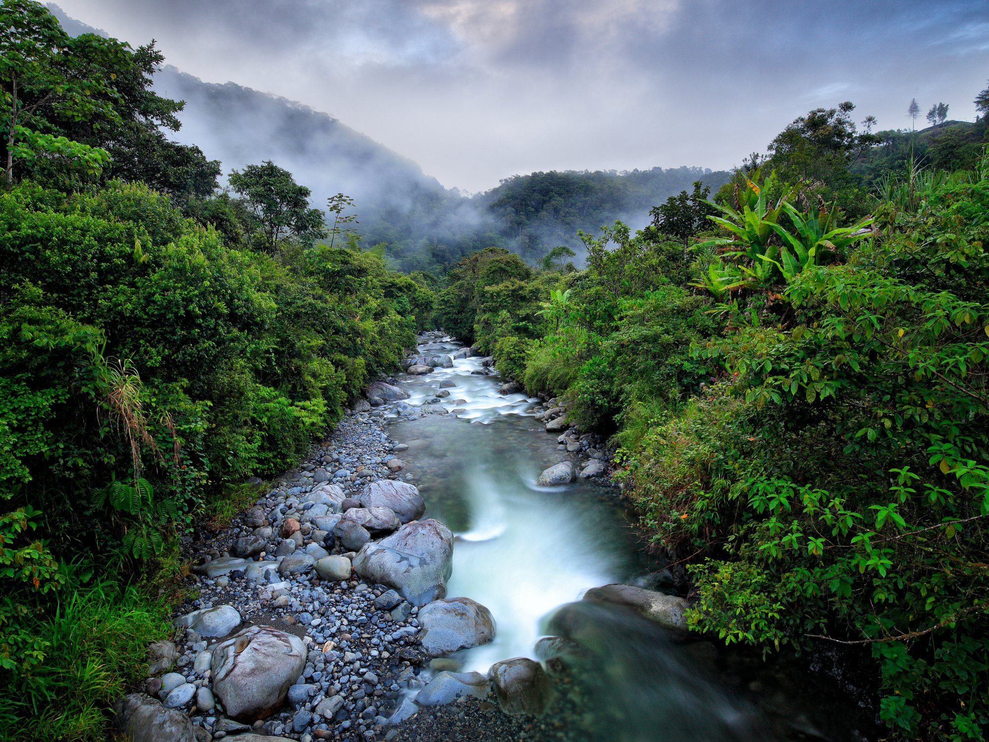 A clear river tumbles over boulders through a lush, mist-shrouded Colombian rainforest valley.