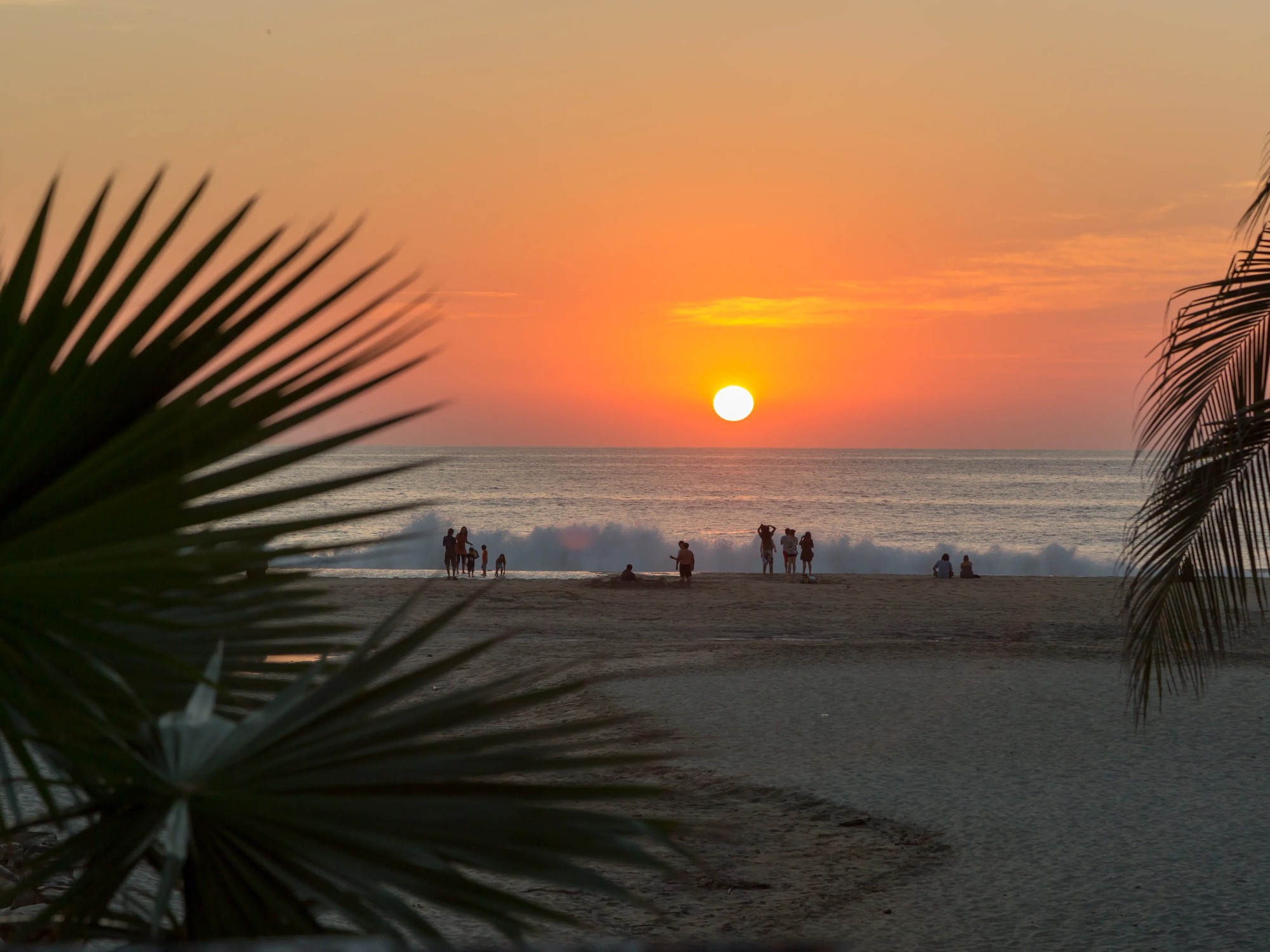 Beachgoers silhouetted against a fiery orange sunset gather at the shoreline in Puerto Escondido, framed by palm fronds.